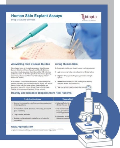 Human Skin Explants Brochure Thumnail for LP